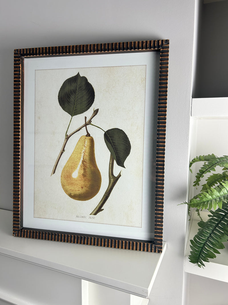 Textured brown bronze brass look Framed pear print 4 styles