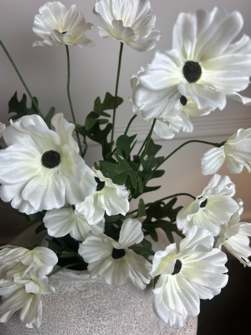 Wild meadow poppy cream 48cm