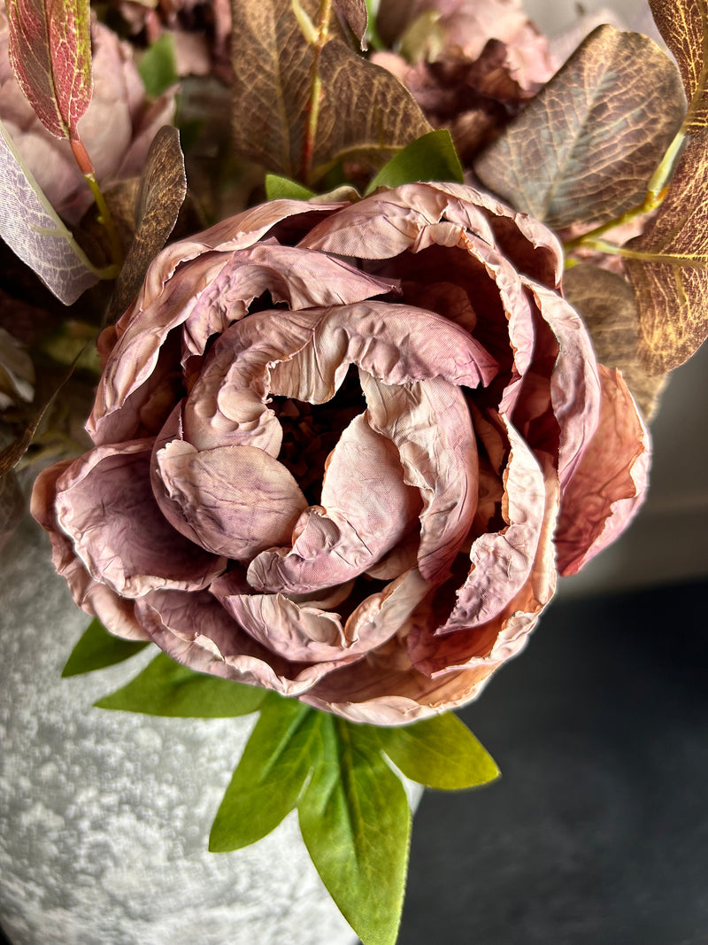 Dried real feel mauve peony 48cm