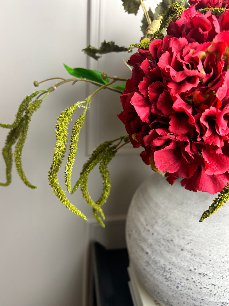 Red French hydrangea