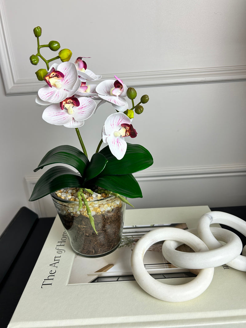 White & Pink glass Potted Orchid