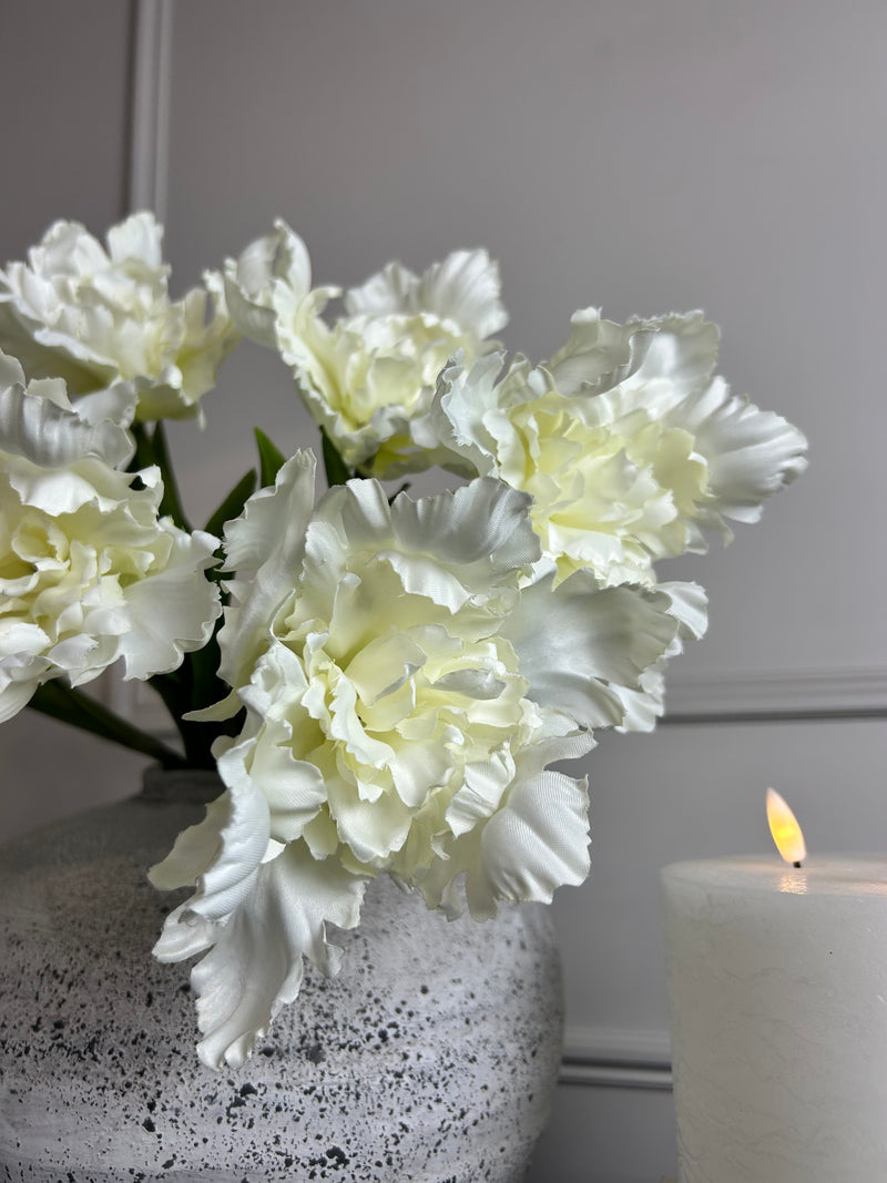 White parrot tulip