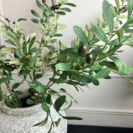 Olive Branch Stem 85cm