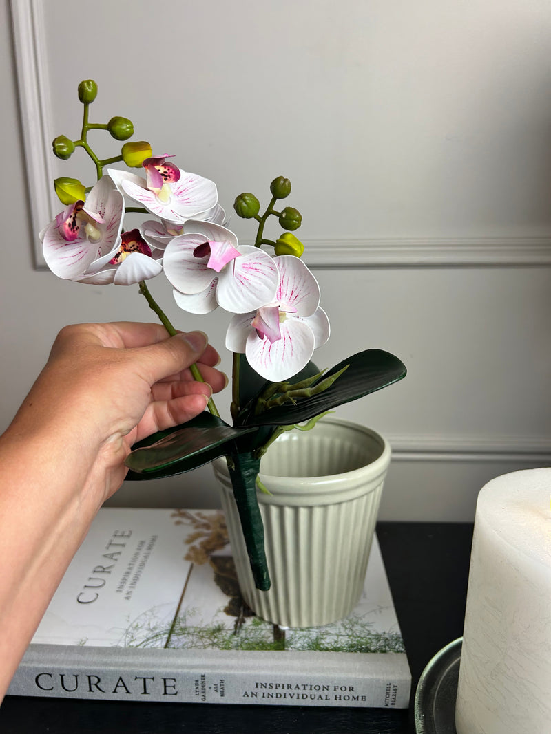 Phalaenopsis Orchid Spray plant pick Bunch 2 Colours