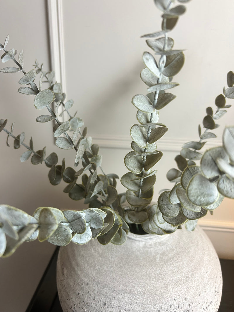 Eucalyptus bunch tied 10 stems