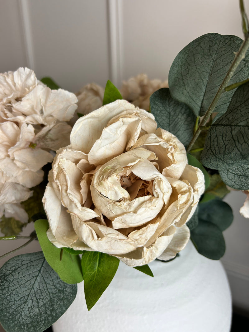 Oyster Dried Touch closed Peony