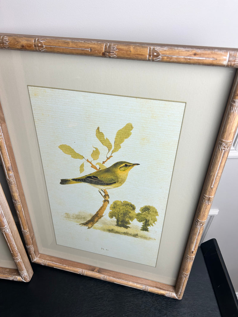 Wooden framed sparrow bird pictures prints 4 styles