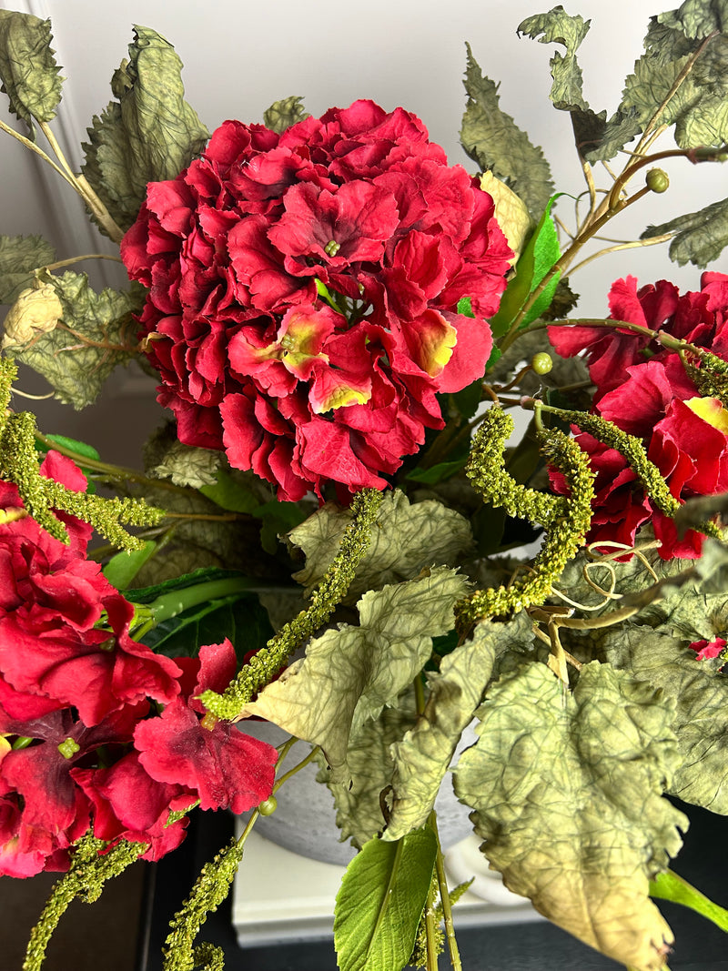 Red French hydrangea