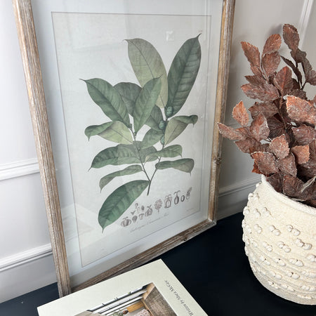 Large Botanical rustic wooden framed prints 4 styles