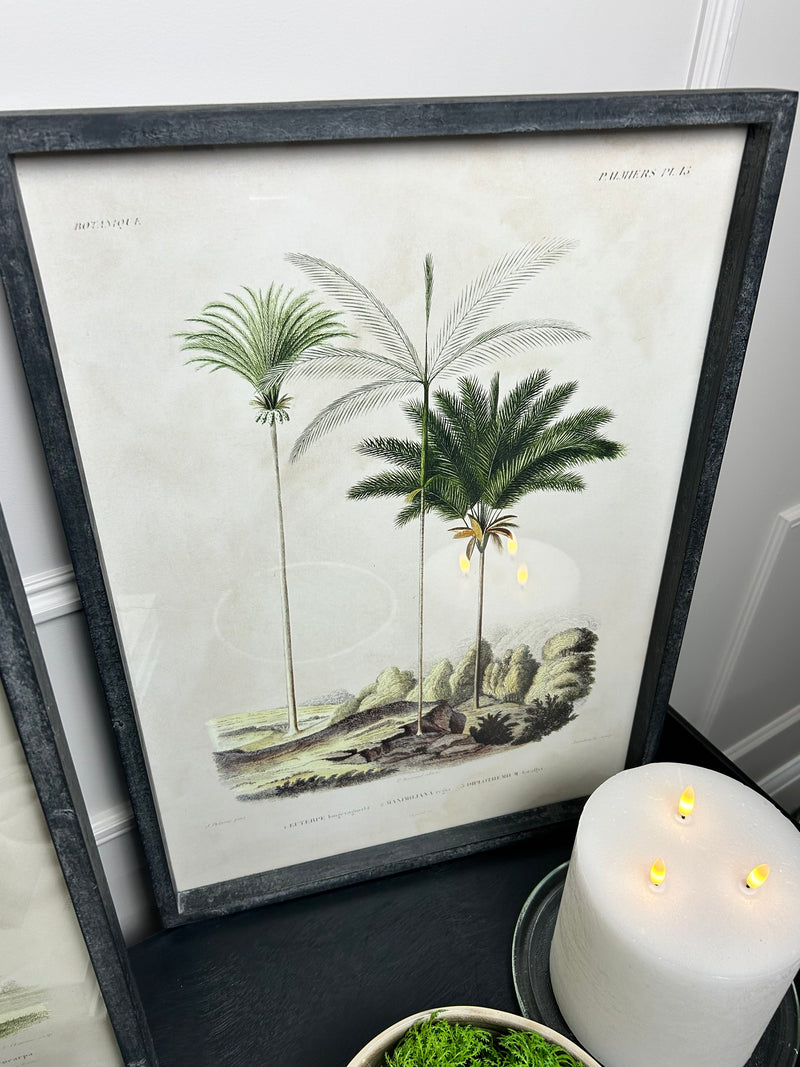 Framed palm prints 56x42cm 2 styles