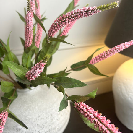 Pink Veronica stem 70cm