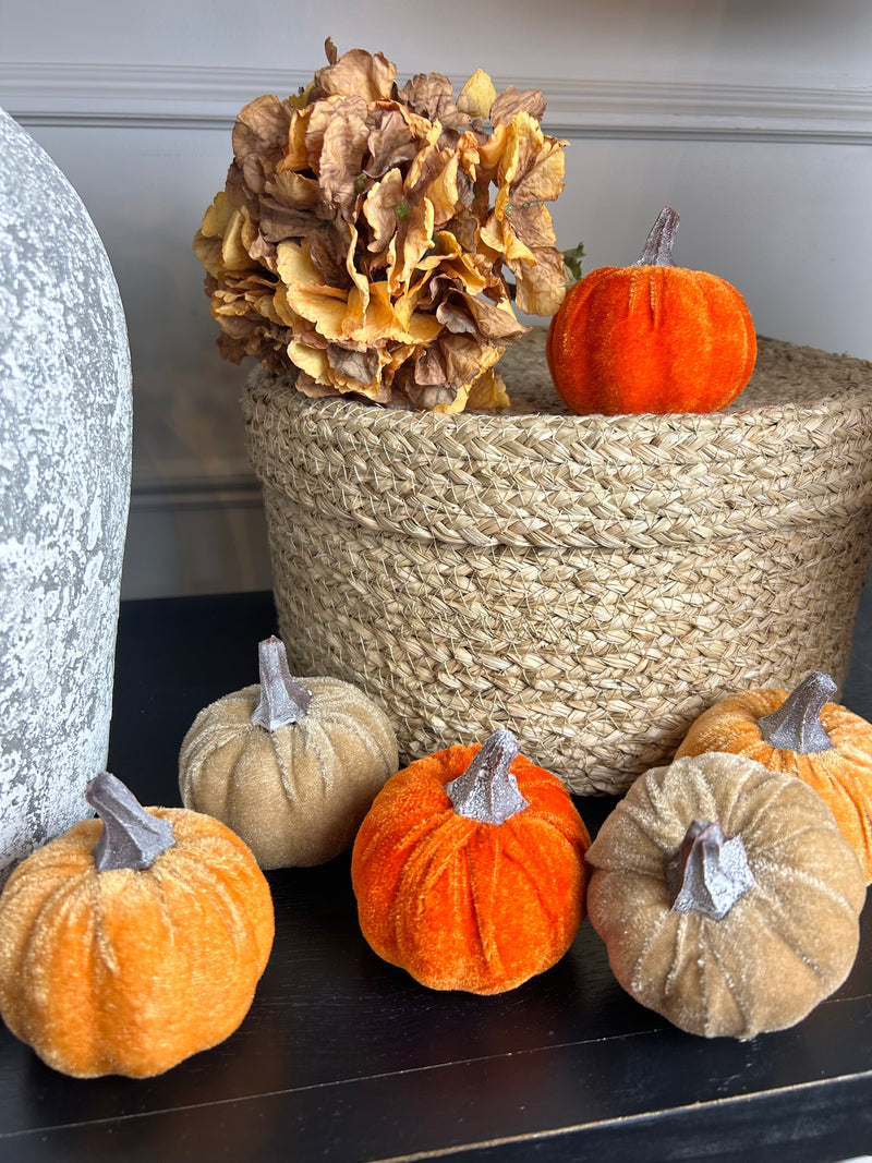 Set of two white Boucle pumpkins