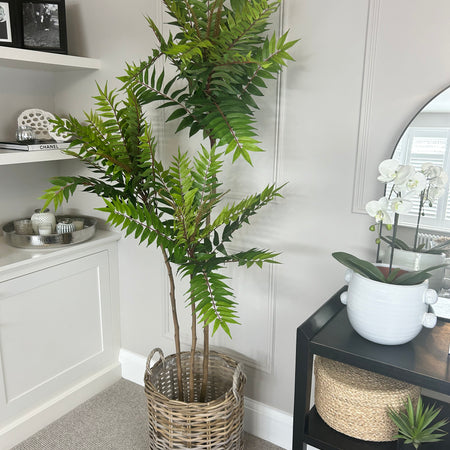 Large Potted Fern triple Tree 170cm Tall