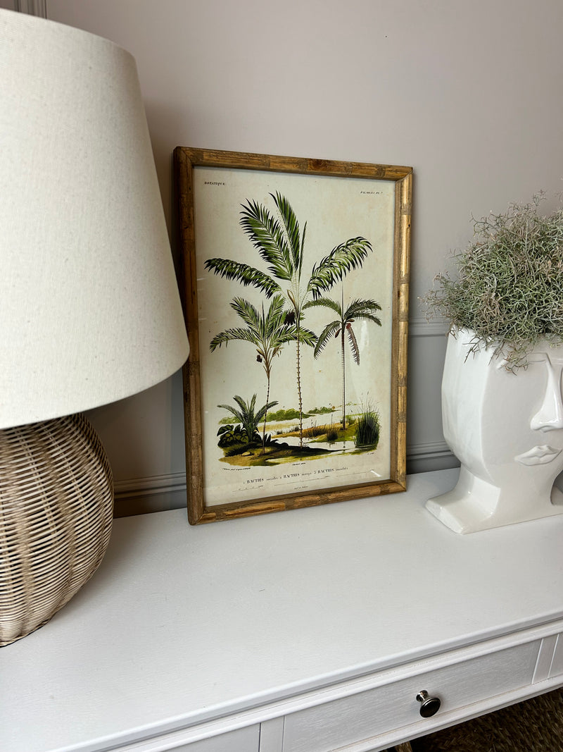 Palm print with bamboo frame 4 styles