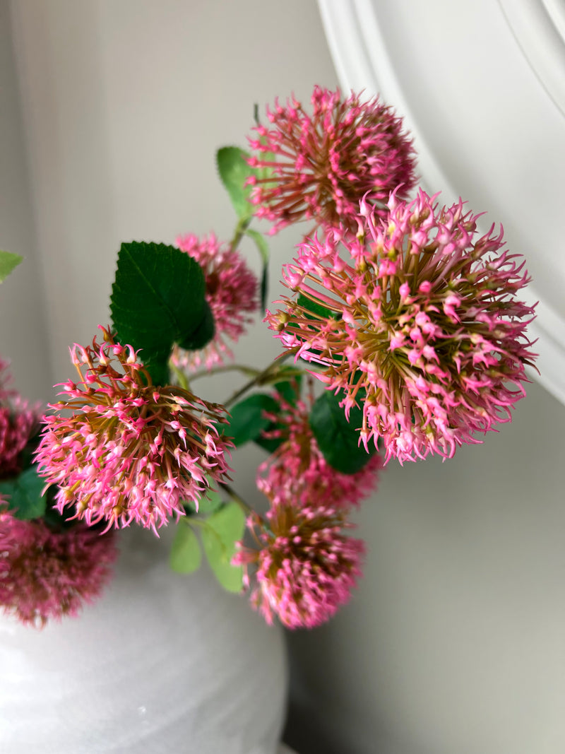 Green protea spray stem 65cm