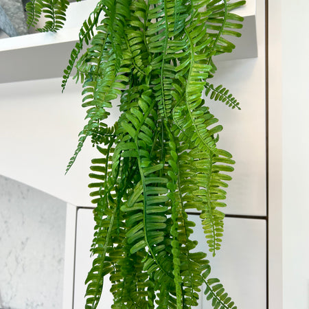 Trailing Long Fern Pick Stem