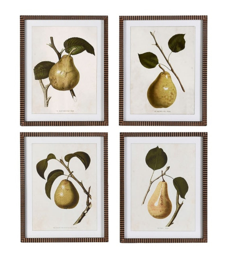 Textured brown bronze brass look Framed pear print 4 styles