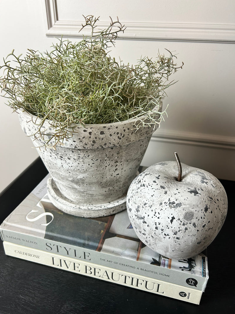 Aged Stone Plant Pots With Plate 2 Sizes