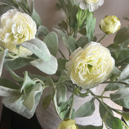 Cream ranunculus stem spray 50cm