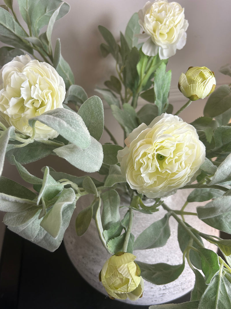 Cream ranunculus stem spray 50cm