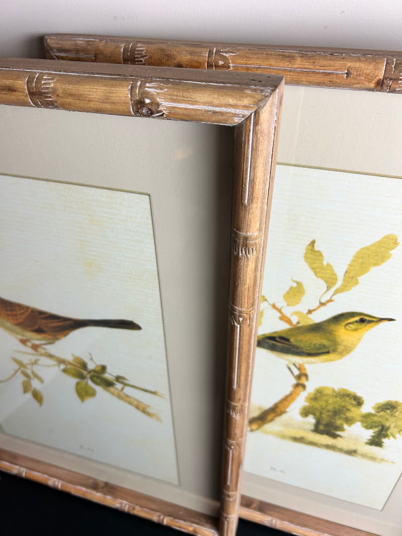 Wooden framed sparrow bird pictures prints 4 styles