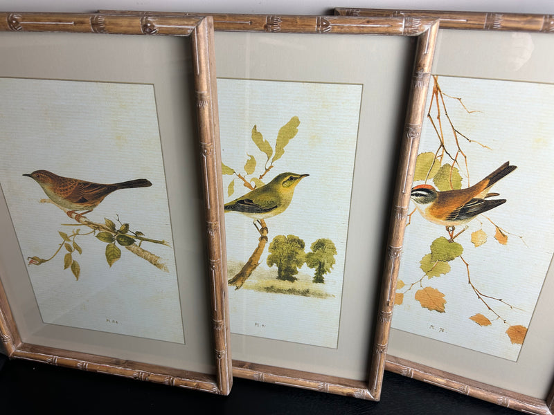 Wooden framed sparrow bird pictures prints 4 styles