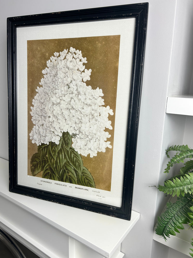 Black framed floral prints 4 styles