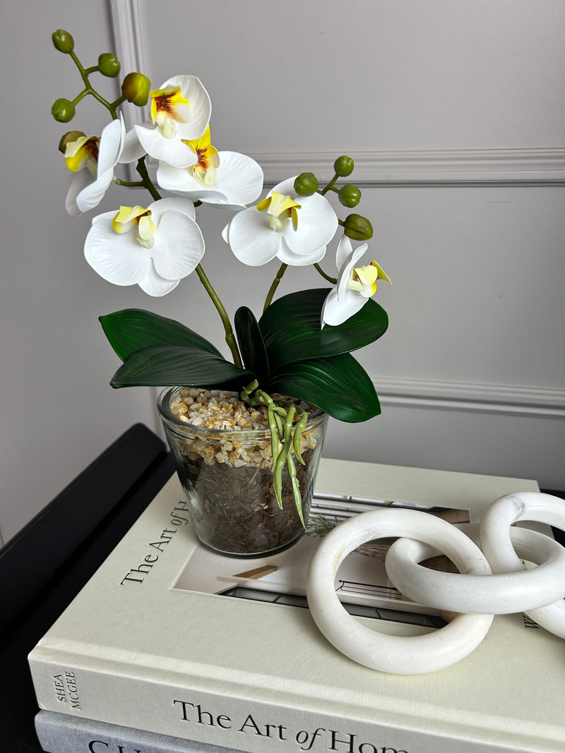 White glass Potted Orchid