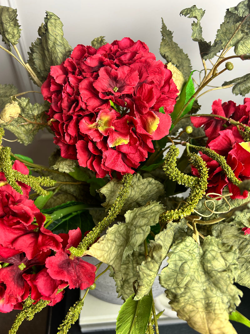 Red French hydrangea