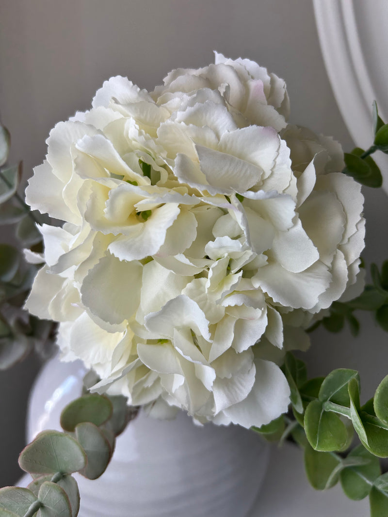 Tall ivory cream hydrangeas 80cm