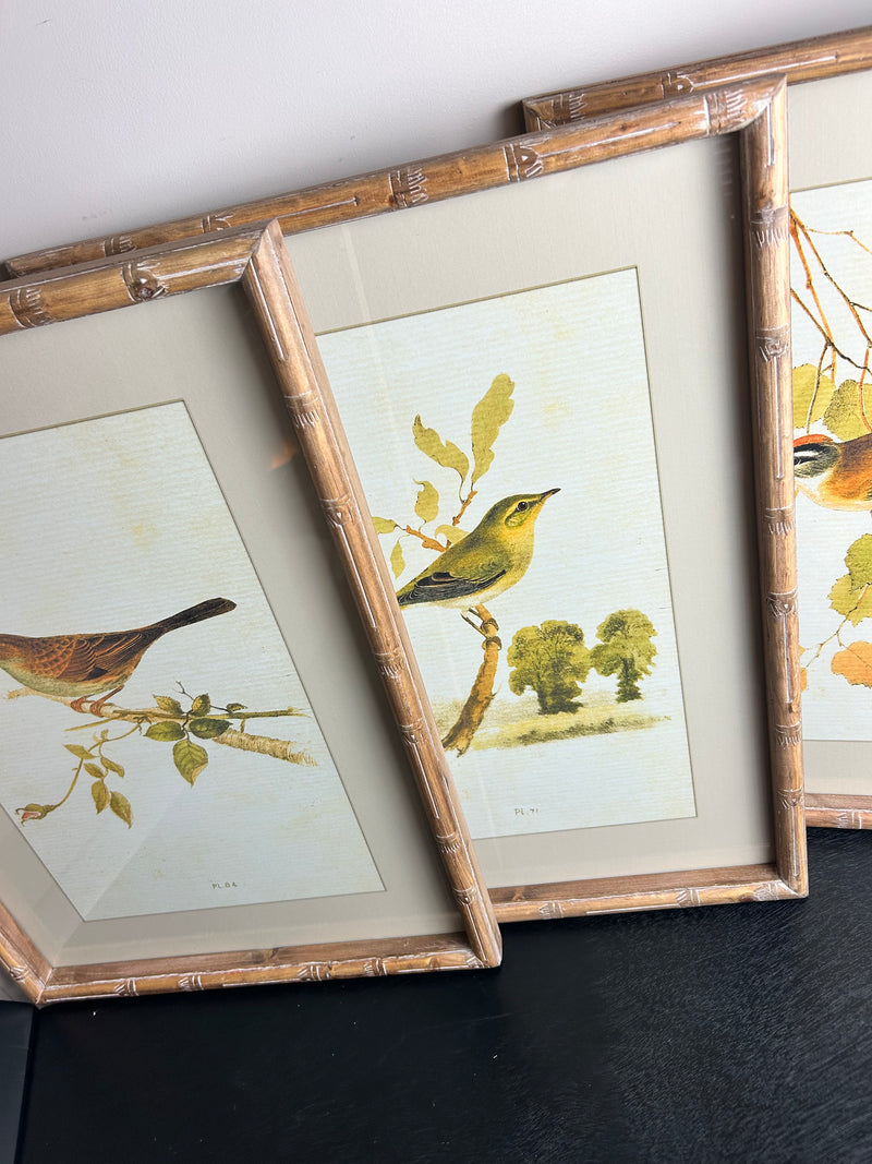 Wooden framed sparrow bird pictures prints 4 styles