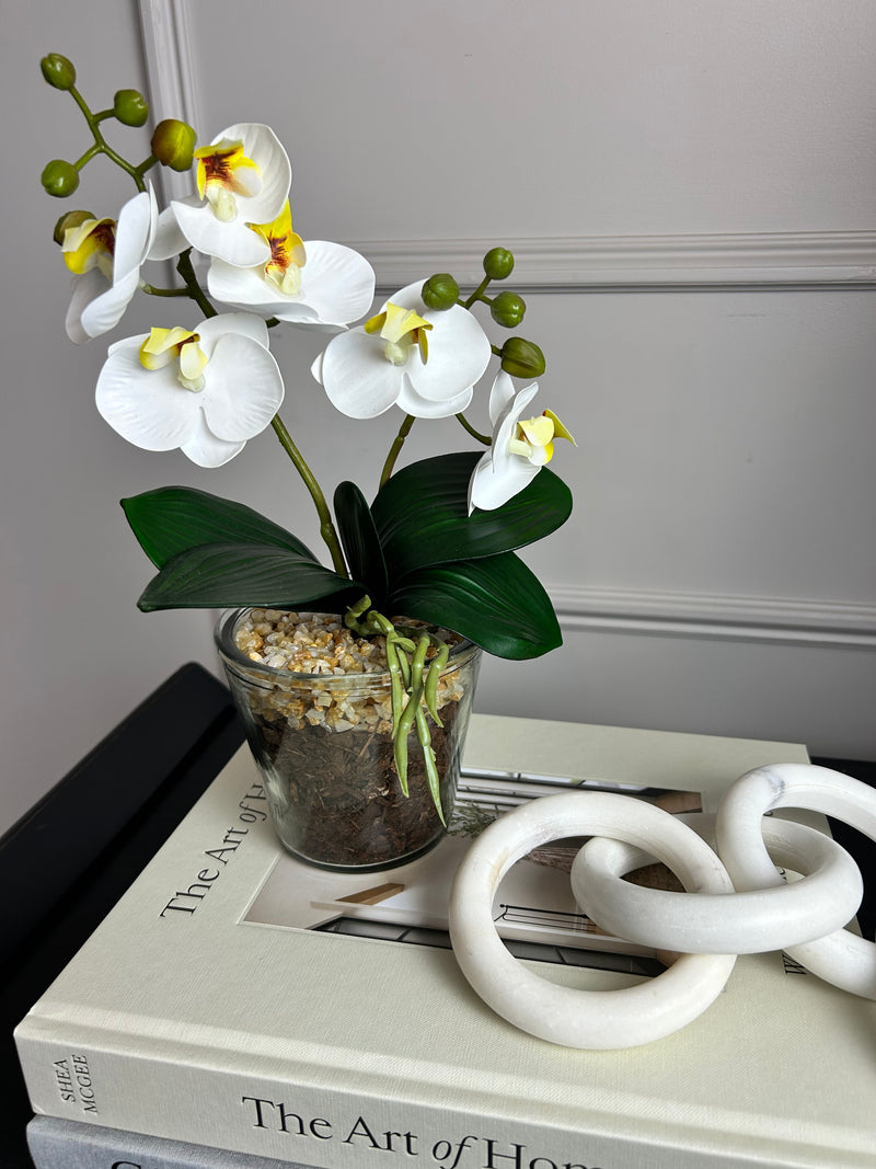 White glass Potted Orchid