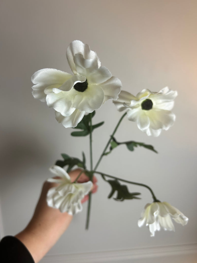 Wild meadow poppy cream 48cm