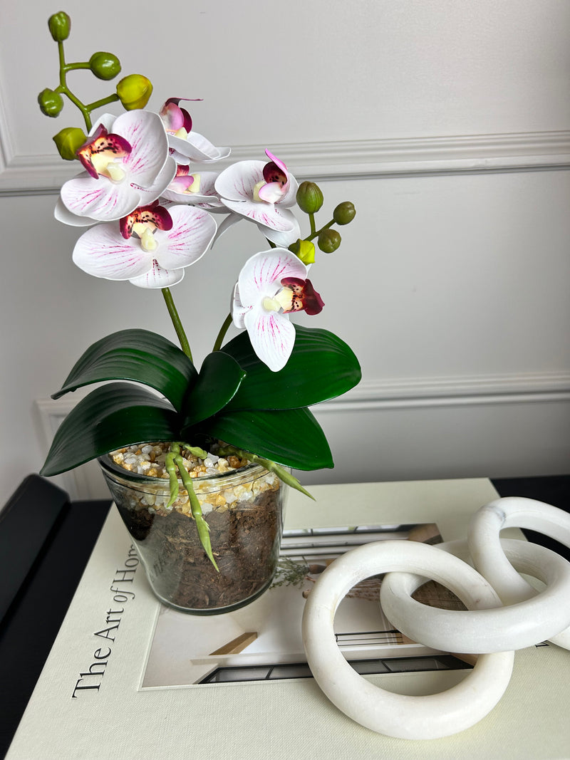 White & Pink glass Potted Orchid