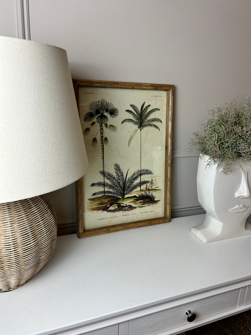 Palm print with bamboo frame 4 styles