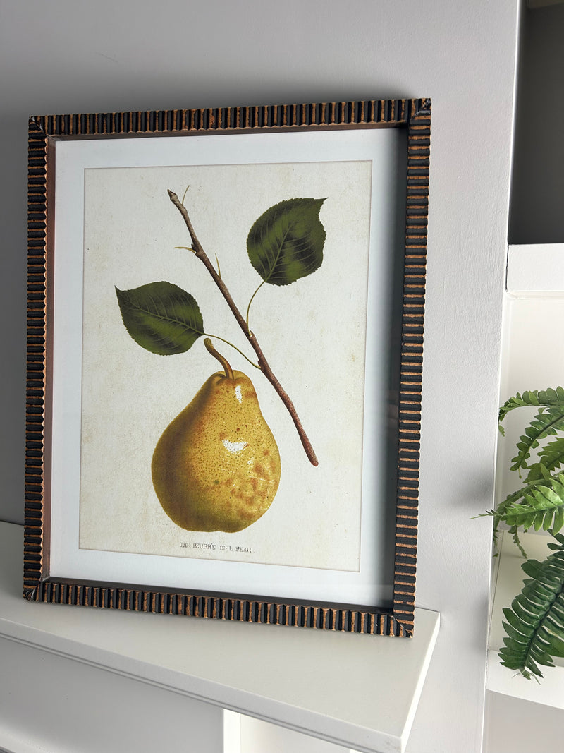 Textured brown bronze brass look Framed pear print 4 styles