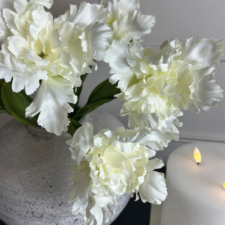 White parrot tulip