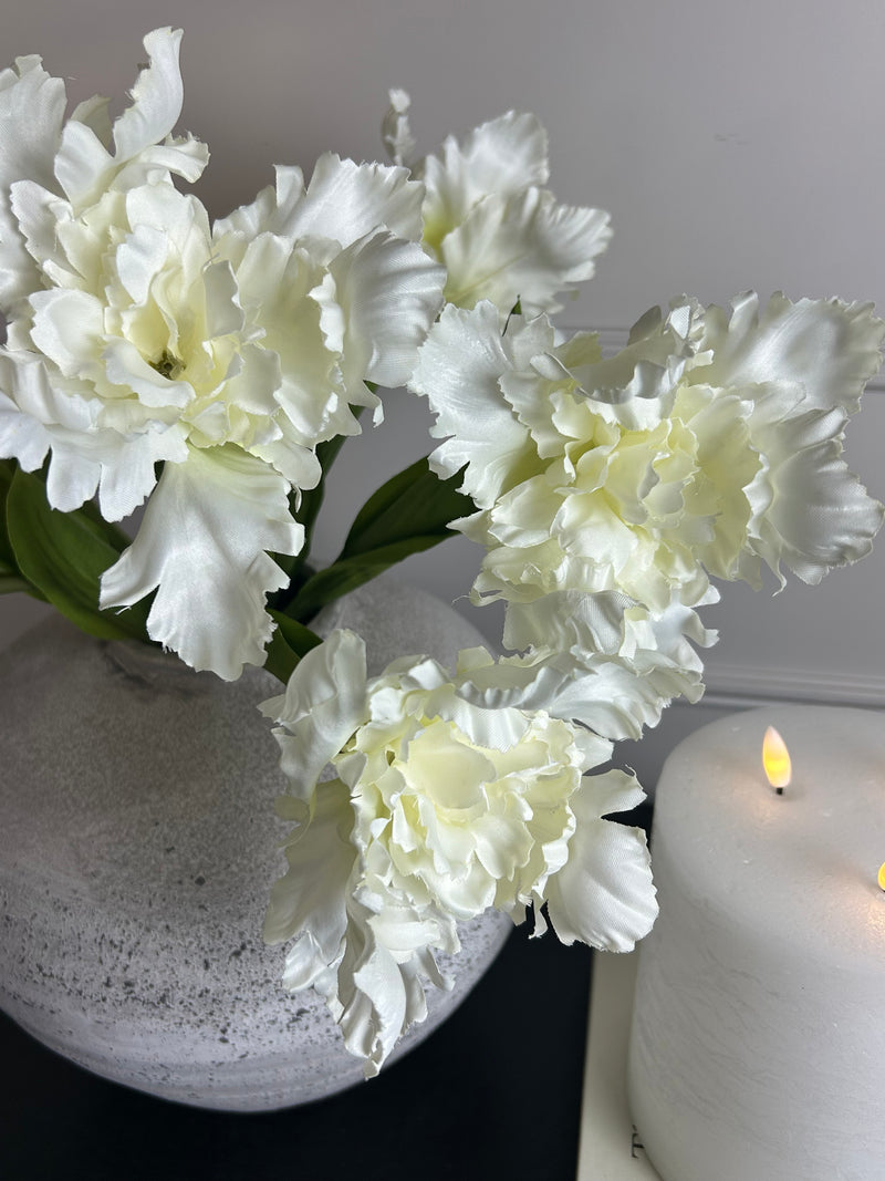 White parrot tulip