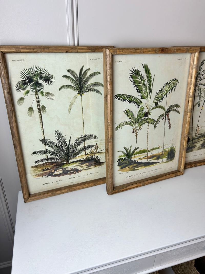 Palm print with bamboo frame 4 styles