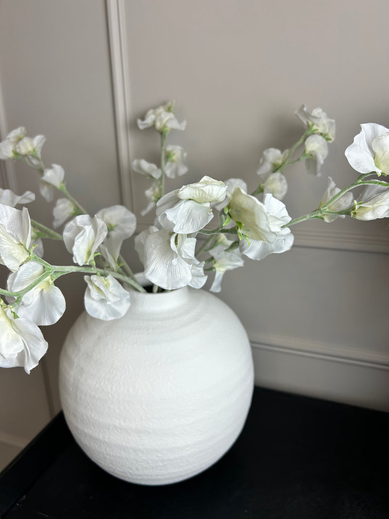 Off White Sweet Pea Tall Stem