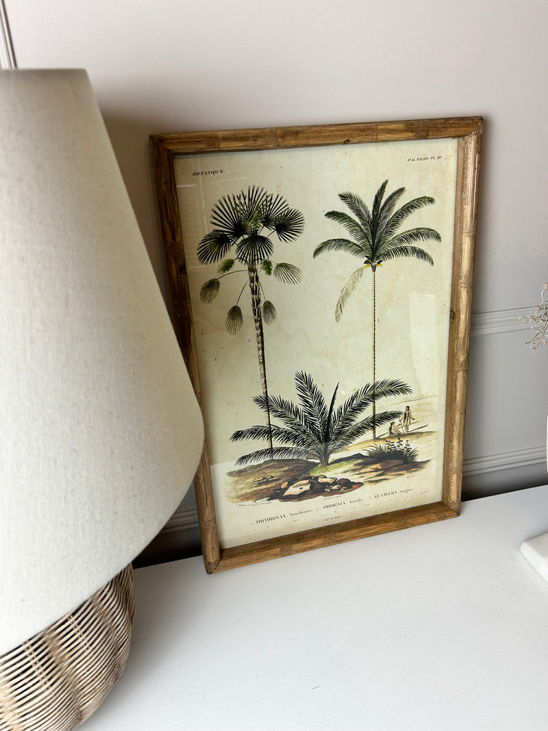 Palm print with bamboo frame 4 styles