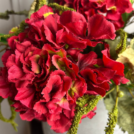 Red French hydrangea