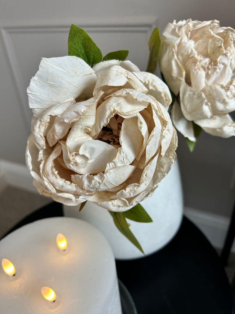 Oyster Dried Touch closed Peony