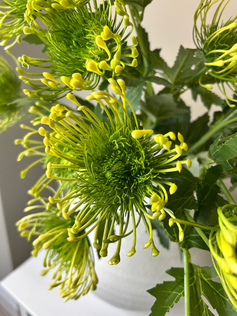 Foxtail Green Spiky Fern Bunch of 5 Stems