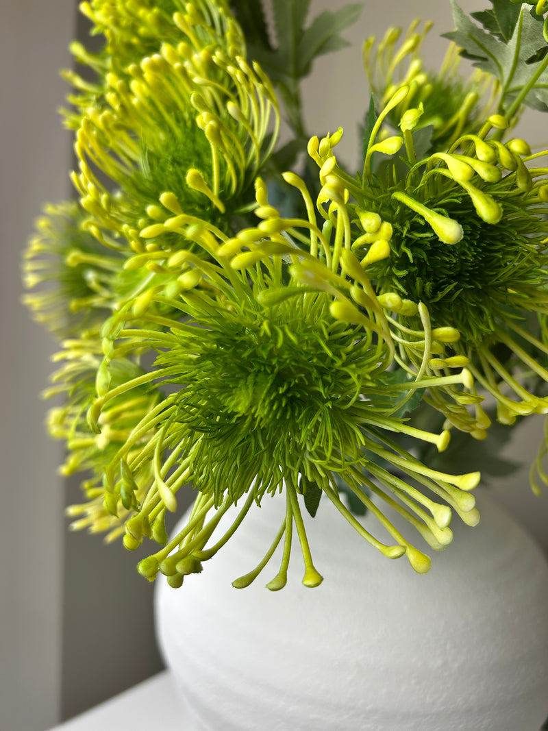 Green protea spray stem 65cm