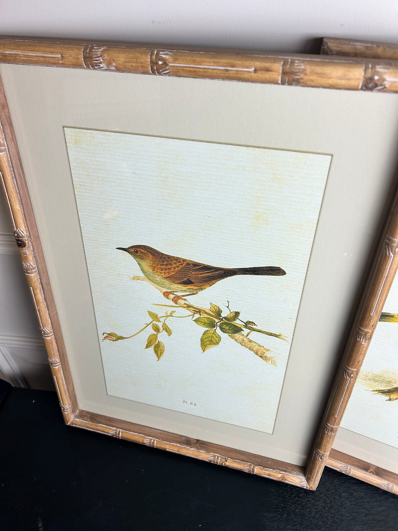 Wooden framed sparrow bird pictures prints 4 styles