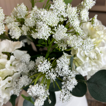 White Cow Parsley Spray Stem