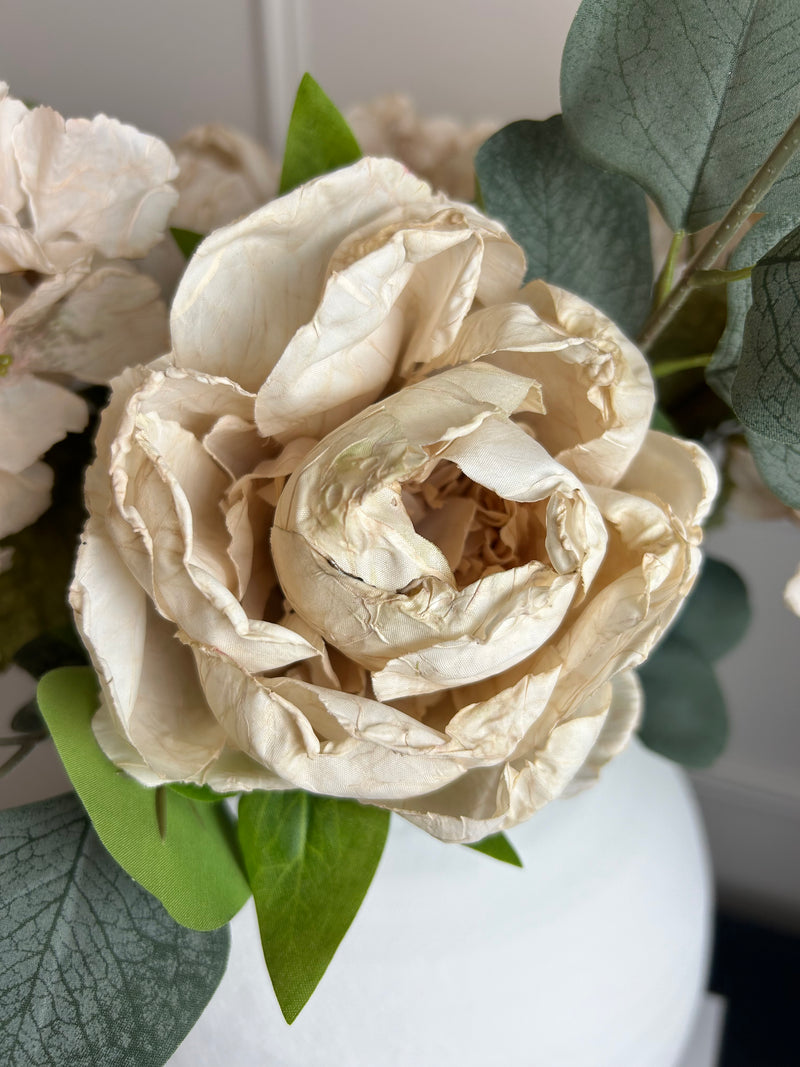 Oyster Dried Touch closed Peony