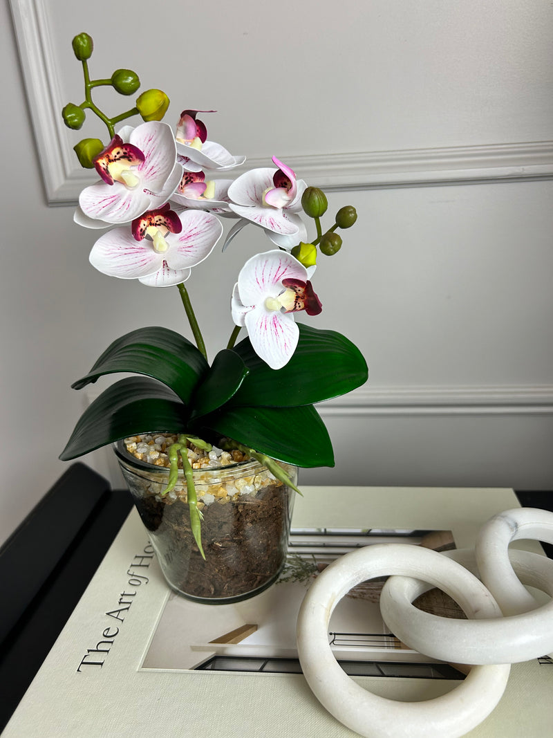 White & Pink glass Potted Orchid