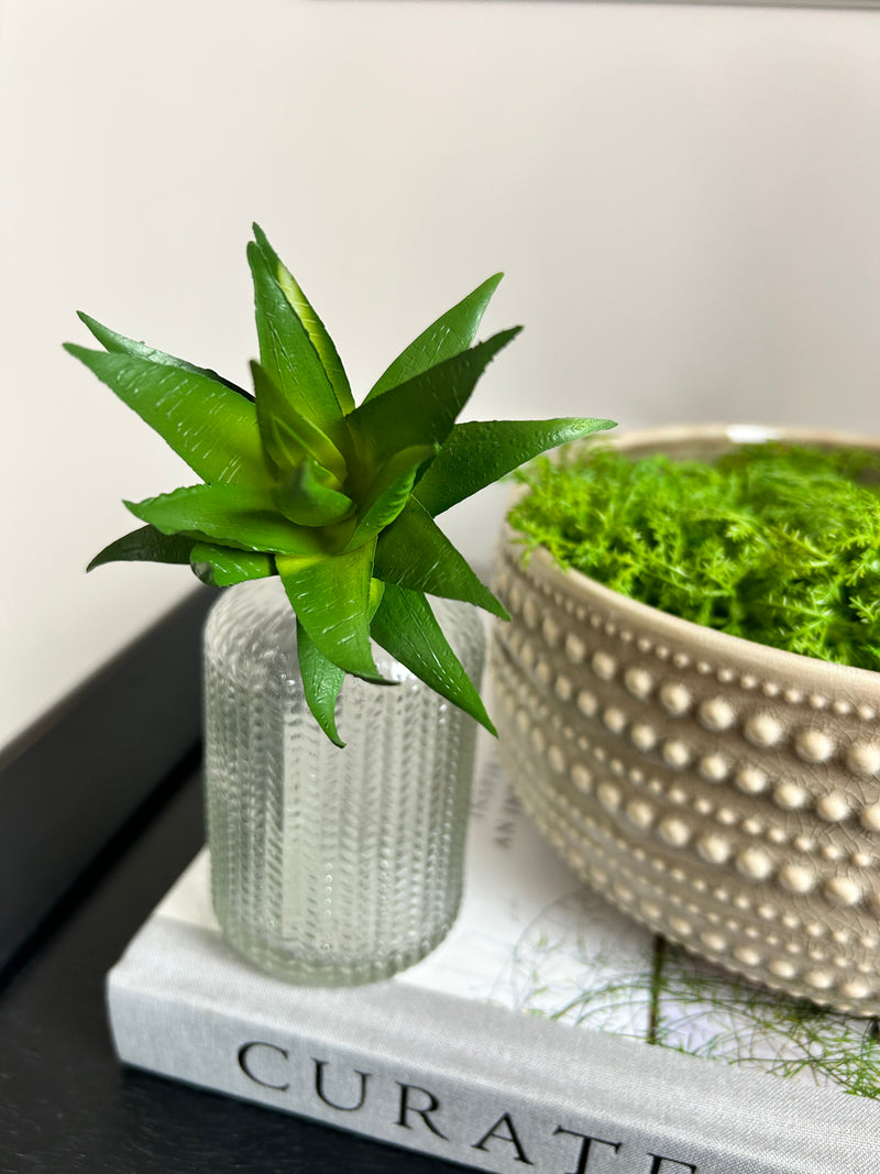 Aloe Vera succulent pick stem